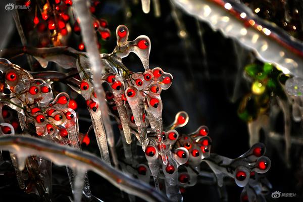 國鐵集團做好能源保供工作保障電廠用煤需求