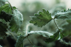 這里 首批8個煤層氣普查探礦權區塊成功出讓！