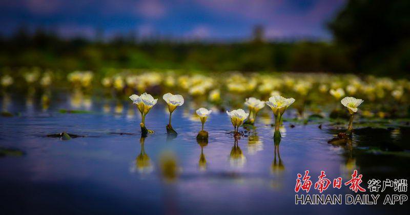 國家能源局：將出臺政策支持深遠海和農村風電！
