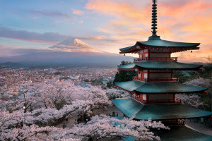 我在銀行做柜員，與貧窮、富有和詐騙打交道