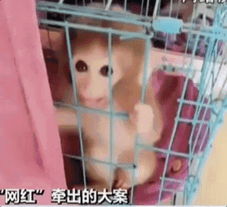 深圳率先立法監管成品油經營 威懾力如何?