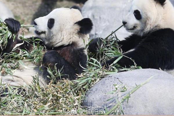 為啥印度那么坑,中國企業還在往里邊擠?