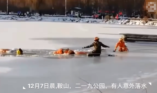 清雅流蘇花 人間四月雪