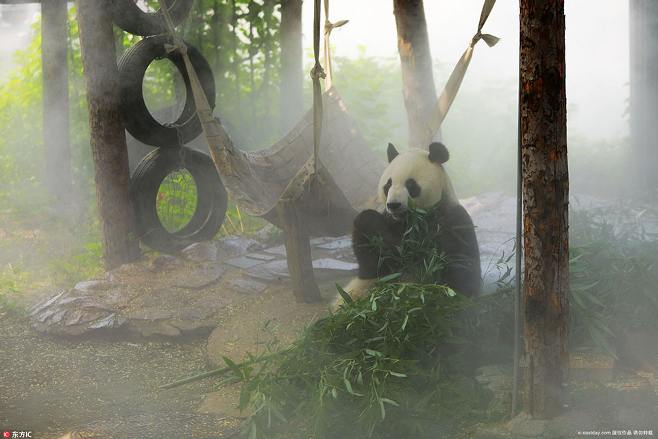 四川售電市場 | 2022年5月第3次周交易預成交結果