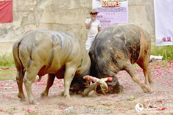 相約大潤發(fā)，汰漬與海清邀您新年把愛帶回家