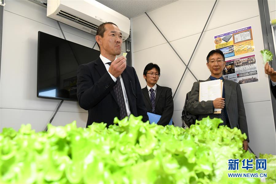 市民就醫新體驗:名醫坐診互聯網 問診取藥醫保報銷全鏈打通