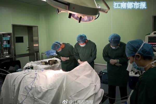 [博海拾貝0418]手心握手背