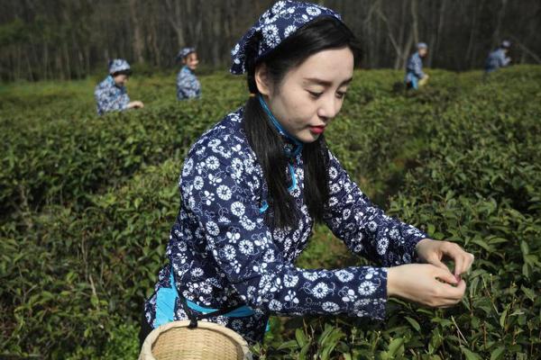 國網福建：大力實施再電氣化戰略