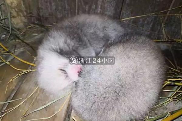 紀(jì)念韓培信同志誕辰100周年座談會(huì)舉行 吳政隆出席并講話