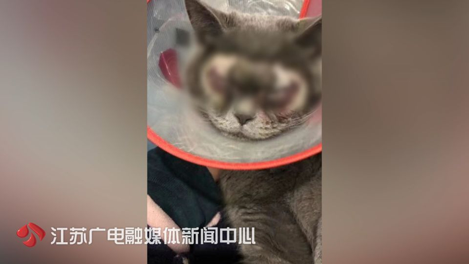世界電壓等級最高的直流工程輸送電量達2000億千瓦時
