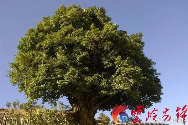 當(dāng)無人替你負(fù)重前行時(shí)，你終歸要回到人生的正軌