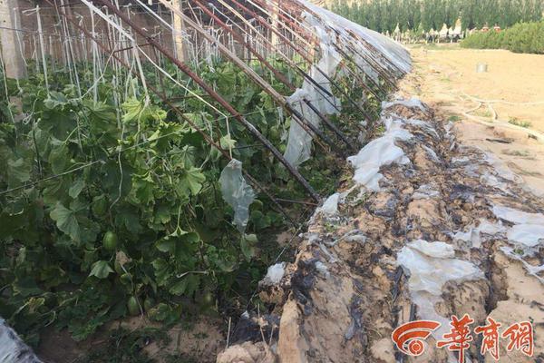密集輸電通道發生災害 電網如何預警和決策？