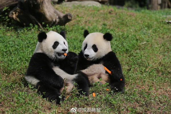 中電投工程公司再獲中國電力信息化標桿企業稱號