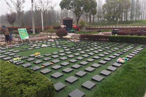 谷歌將在火力發電廠上建數據中心：100%采用可再生能源