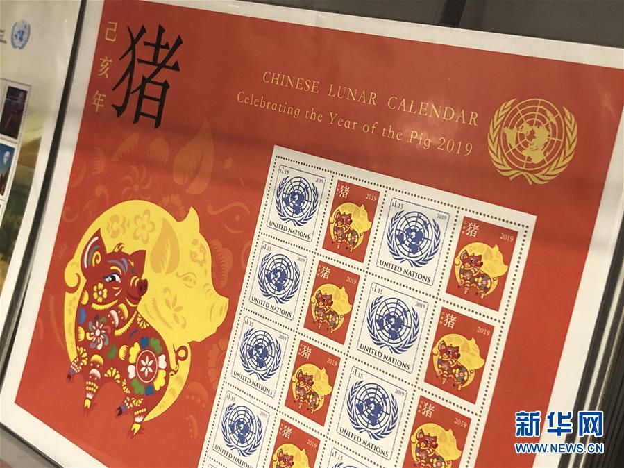 粉黛亂子草花海扮靚泉城秋