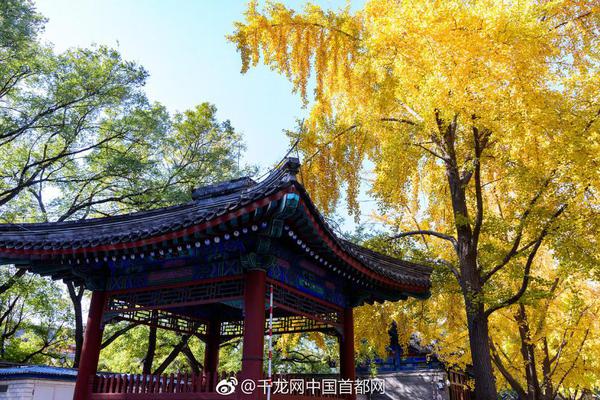 劉強調研疫情防控工作時強調：提升醫療救治服務能力
