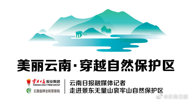 信息化有了“度量衡”