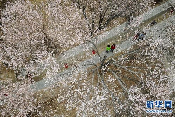 日本三巨頭將在神奈川建立氫氣和氨氣供應基地