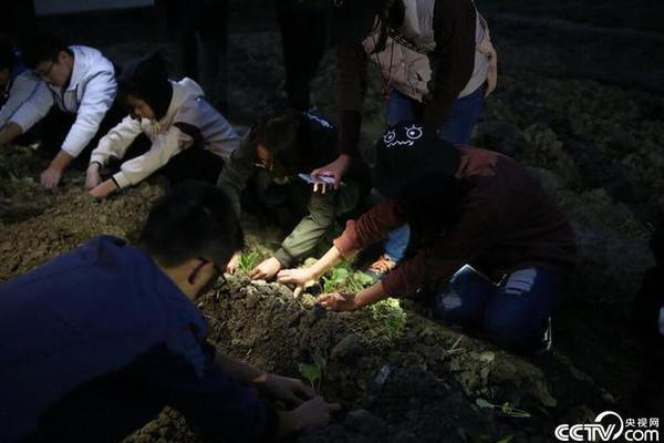30MW/60MWh!中廣核新能源寧夏靈武共享儲能電站項目EPC總承包工程重新招標