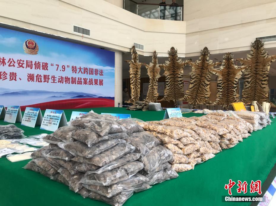如何發展利用智慧新能源？