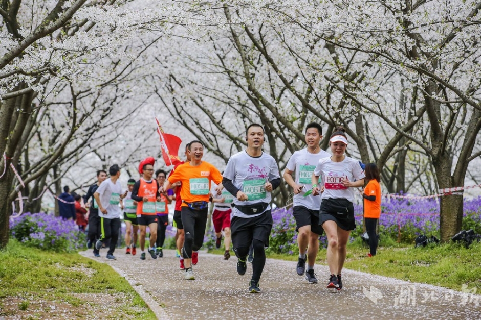 山東團代表議報告③丨為中國式現代化貢獻山東力量
