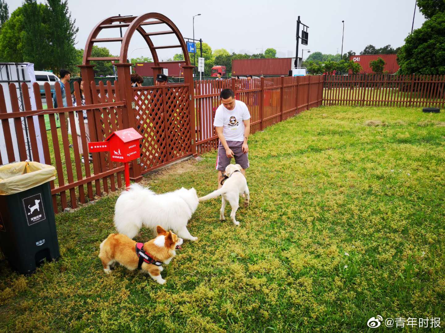 上海首座安亭加氫站的安全運營探析