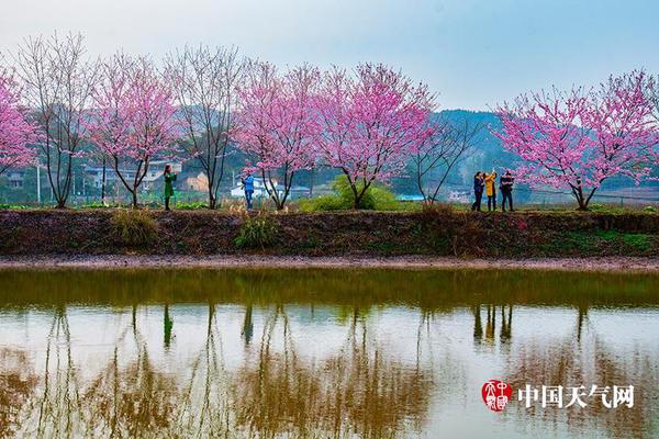 三峽集團(tuán)與中交集團(tuán)舉行中國(guó)水利電力對(duì)外有限公司交接儀式