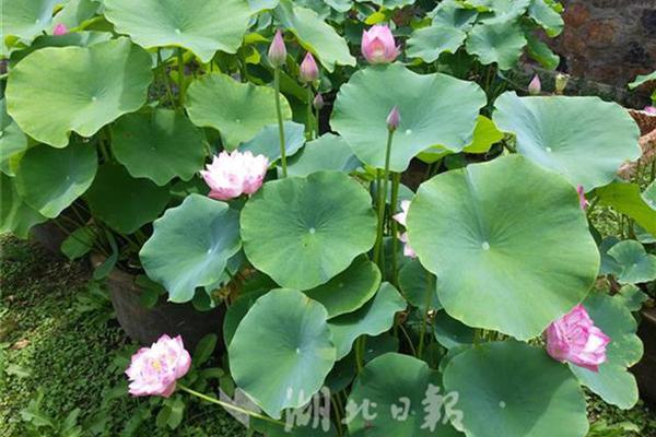霍去病這種事跡放今天當電影拍都覺得夸張