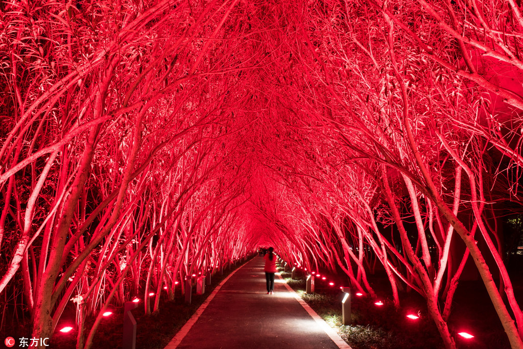 油價下降！11月7日國內成品油價格調整