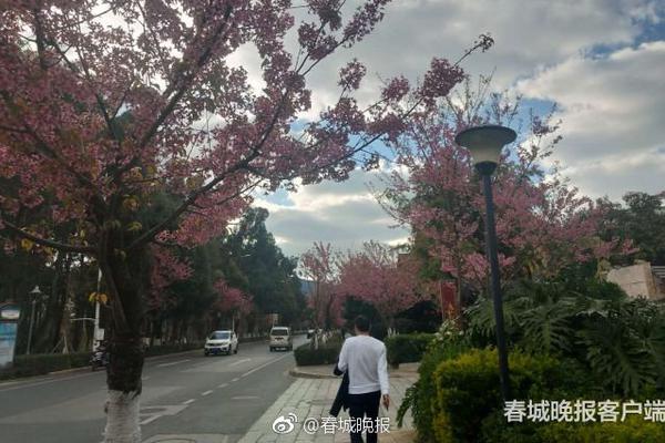 為什么說Twitter卸任的CEO杰克多西是一個很神奇的人？