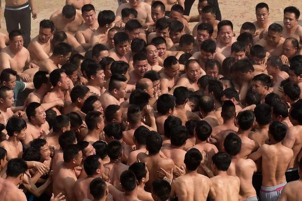 辛保安:迫切需要加快推進科技創新 帶動產業數字化智能化升級