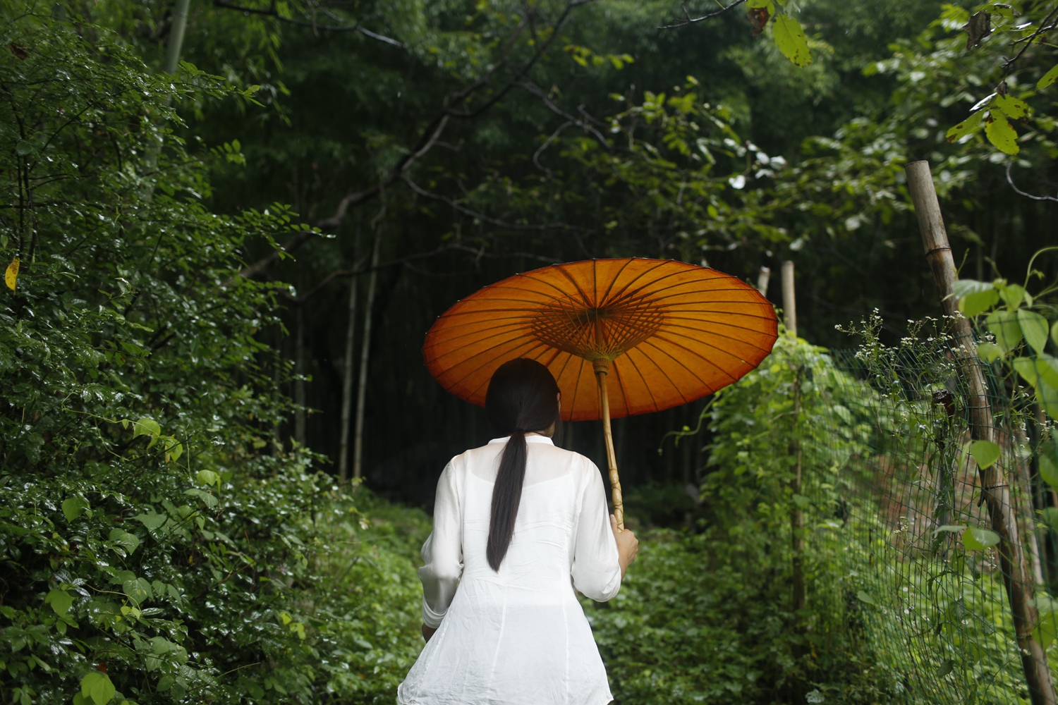 重慶電網(wǎng)迎峰度夏頭號(hào)保供工程投運(yùn)