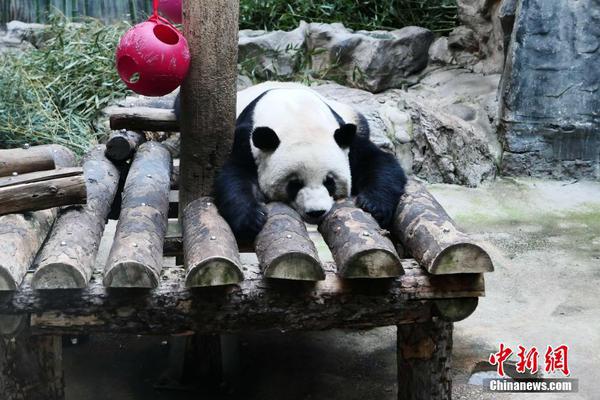 你所經歷過的最恐怖驚悚的故事是什么？
