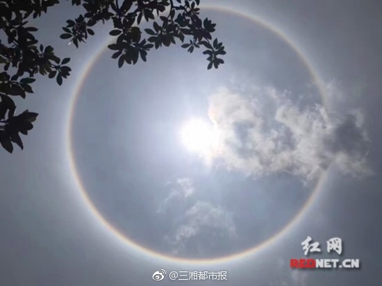 20個簡短而深刻的精彩回復（第三期）