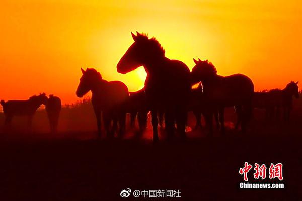 山東經濟運行穩中向好進中提質