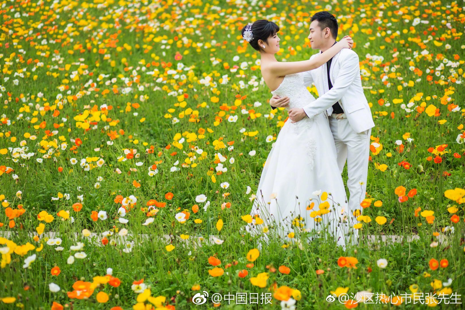河南鄭州供電公司：應用省內首臺可調壓移動直流融冰裝置