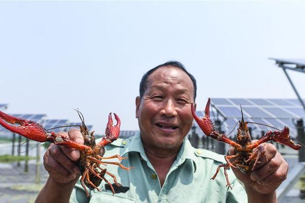 廣州供電局2023至2025年度第二批營銷類物資框架招標中標結果