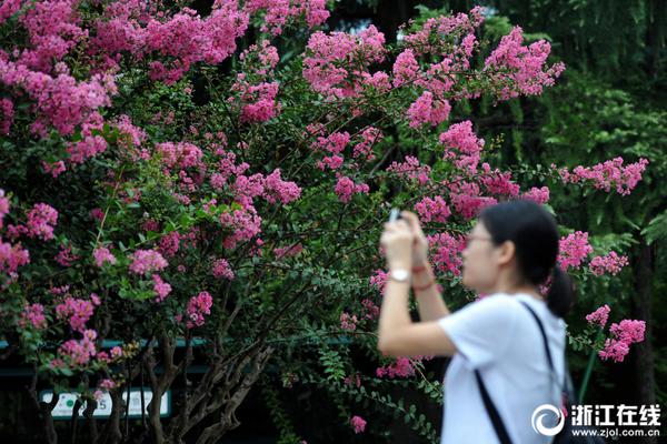 被王家衛(wèi)拋棄的劉德華