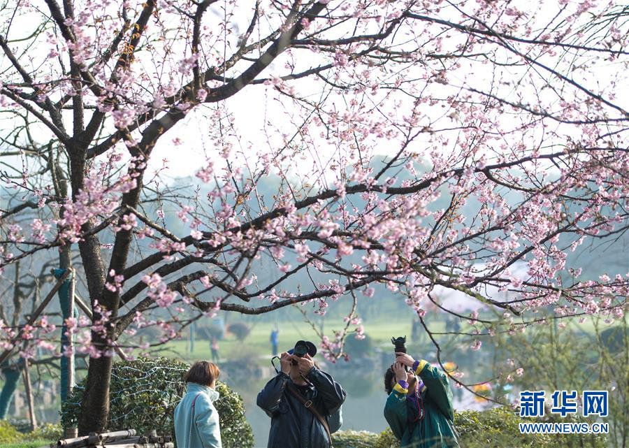 中國(guó)IGBT技術(shù)創(chuàng)新與產(chǎn)業(yè)聯(lián)盟第二屆學(xué)術(shù)論壇順利召開(kāi)
