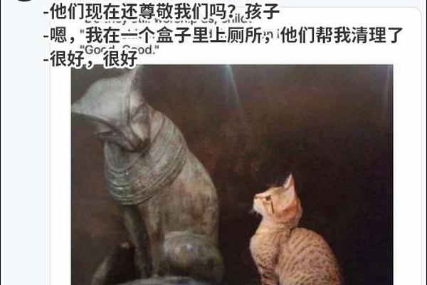 山東港口在國內(nèi)率先完成&ldquo;自動化集裝箱碼頭標(biāo)準(zhǔn)體系&rdquo;構(gòu)建