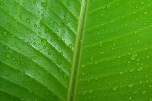 內(nèi)蒙古英華500千伏輸變電工程即將投運