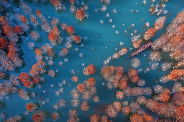 一手交錢 一手交電 浙江電力現貨交易市場試運行