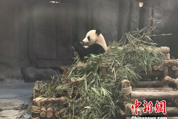 再增新成員!小巷公交571路開通試運行 拓展公交線網覆蓋深度