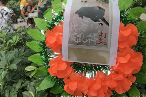 濟南92號汽油重回“6元時代”