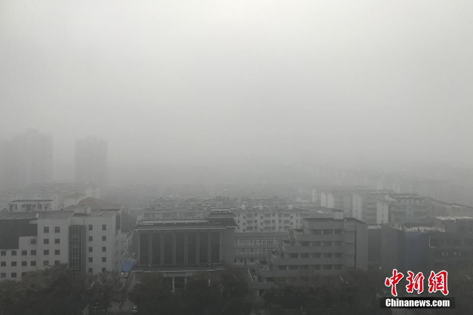 [博海拾貝1126]機械飛升