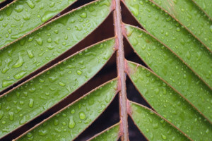 國網黑龍江省電力公司召開2023年第四季度工作會議