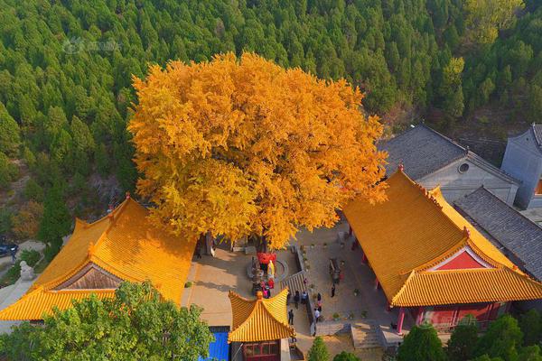杜甫：一個(gè)粉絲的自我修養(yǎng)