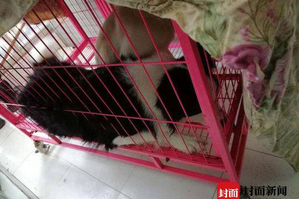 省委常委會召開會議 傳達學習習近平總書記重要指示 研究黨史學