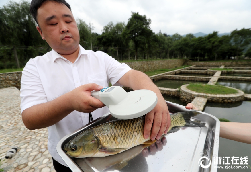 大唐、東方風電聯合注資！擬建設海南洋浦海上風電產業園