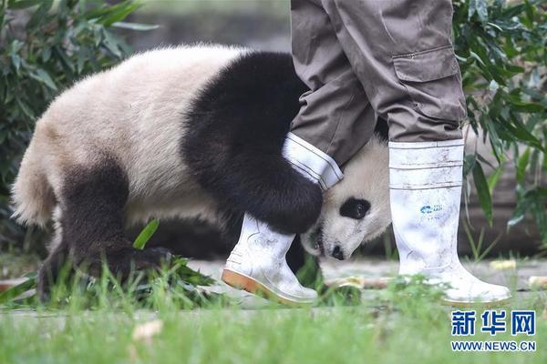 國網(wǎng)福建電力供應(yīng)商不良行為處理情況的通報（2022年12月）